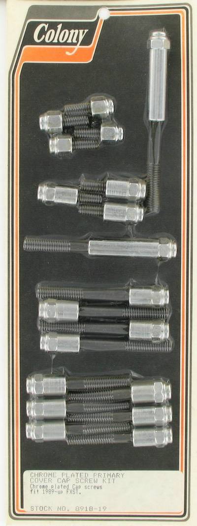 Primary cover screw kit, cap | Color: chrome | Order Number: C8918-19 | OEM Number: